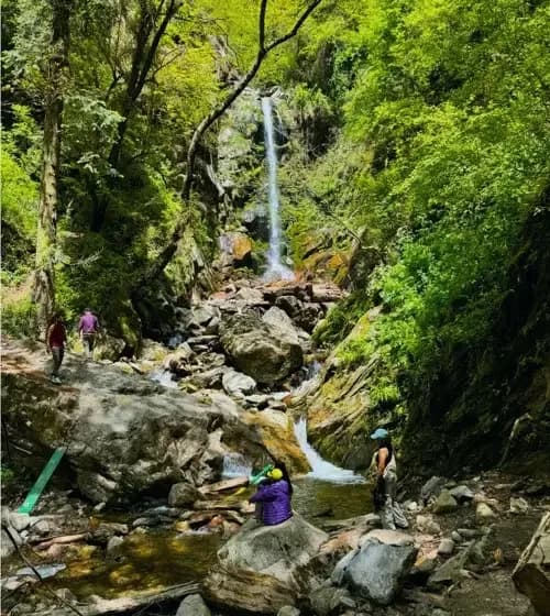 Waterfall walks: Rooms and café at The Rustic Jibhi